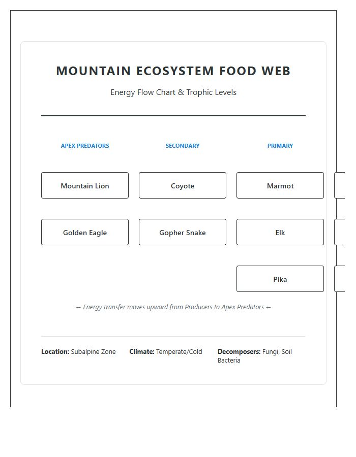 Mountain Ecosystem Food Web Printable Chart Diagram