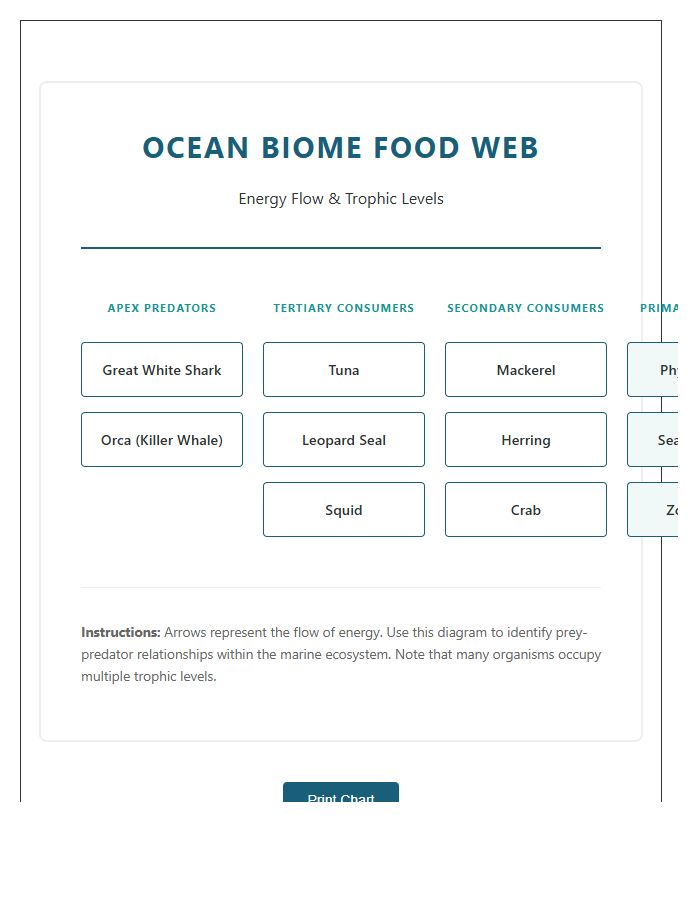 Ocean Biome Food Web Printable Chart Diagram