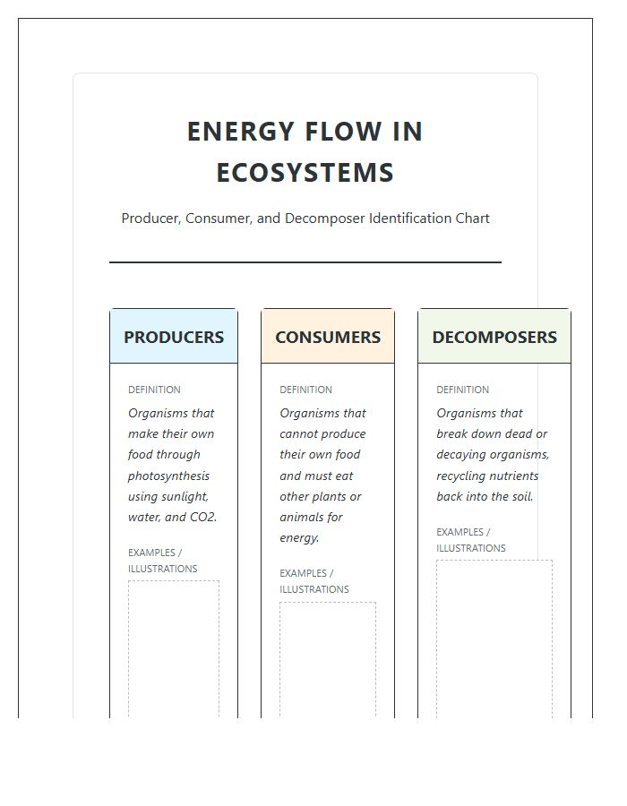 Producer Consumer Decomposer Printable Chart Diagram