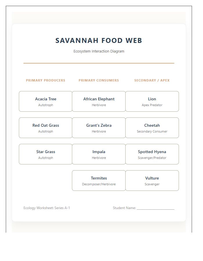Savannah Food Web Ecosystem Printable Chart Diagram