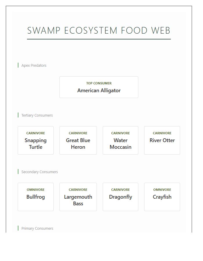 Swamp Ecosystem Food Web Printable Chart Diagram
