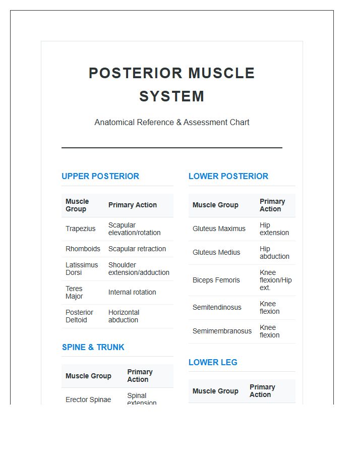 Comprehensive Posterior Muscle System Printable Chart