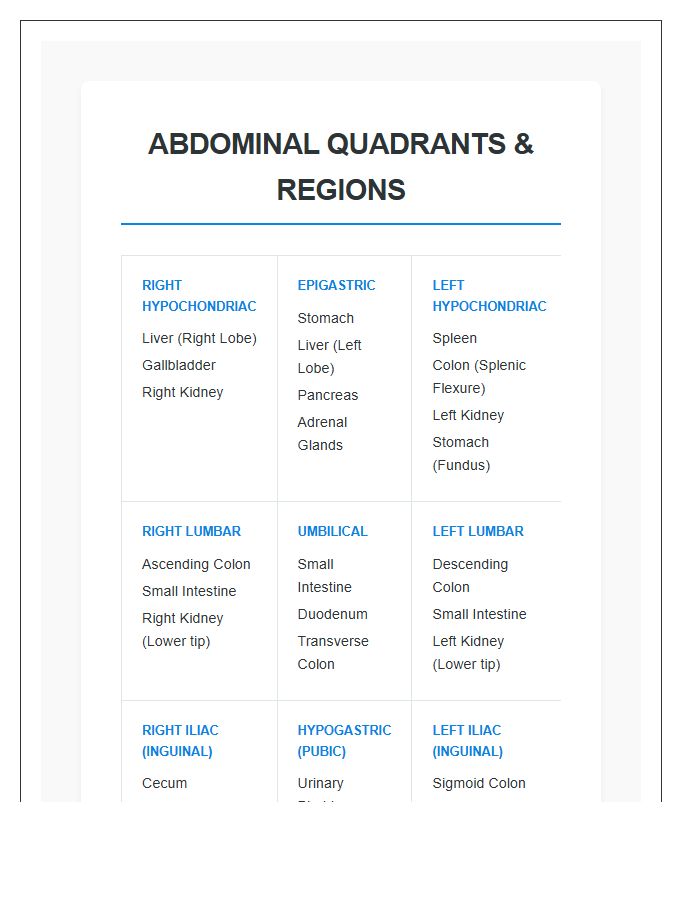 Abdominal Internal Organs Locations Printable Chart