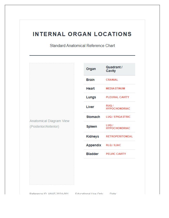 Anatomical Position Internal Organs Locations Printable Chart