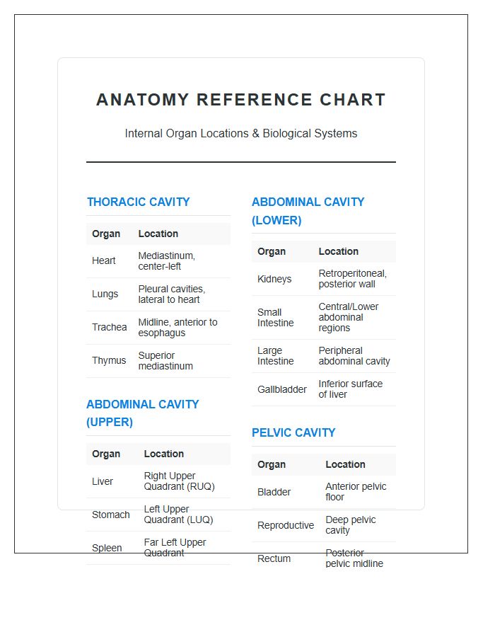 Biological Systems Internal Organs Locations Printable Chart