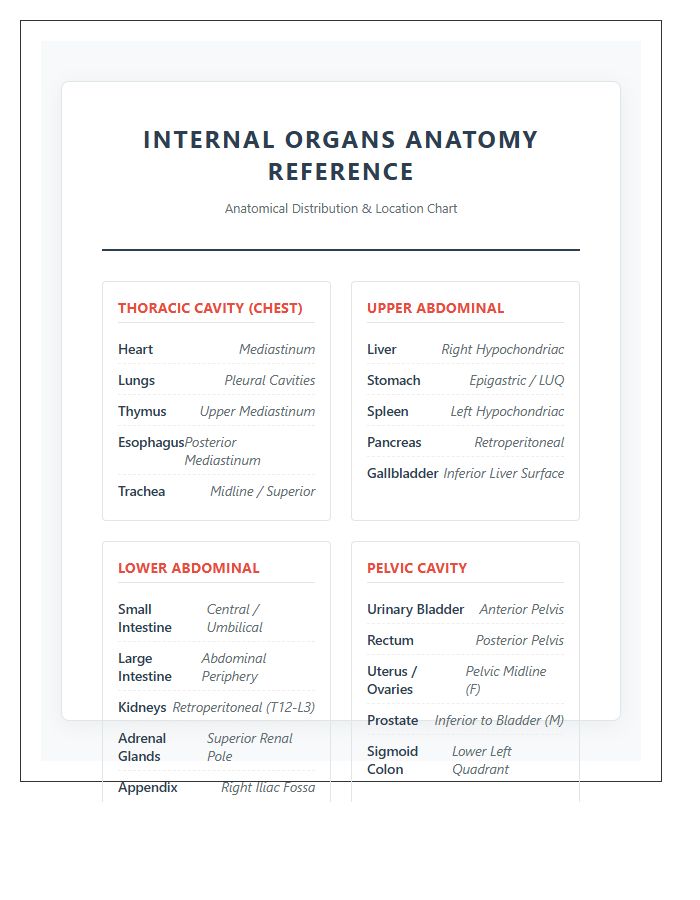 Comprehensive Internal Organs Locations Printable Chart