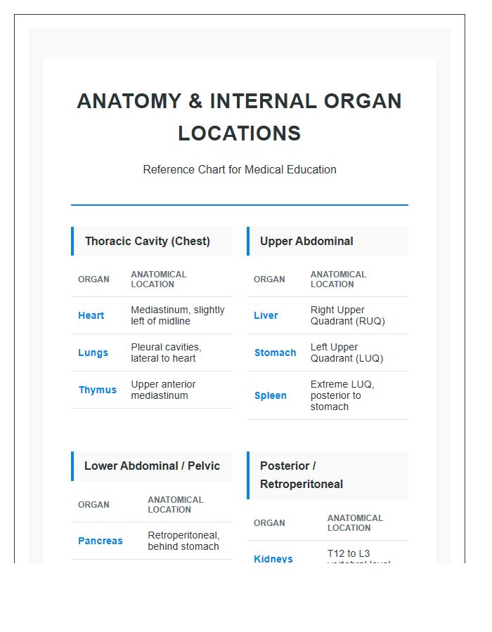 Detailed Anatomy Internal Organs Locations Printable Chart