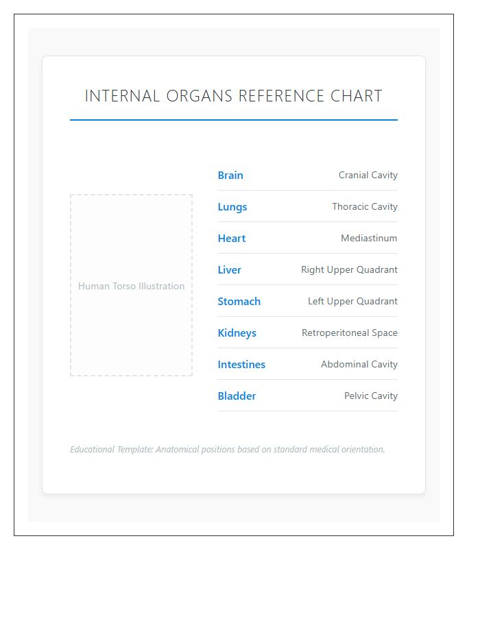 Educational Internal Organs Locations Printable Chart