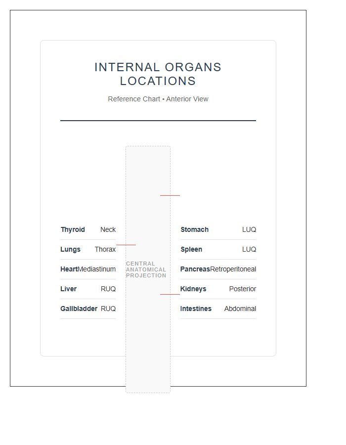 High Resolution Internal Organs Locations Printable Chart