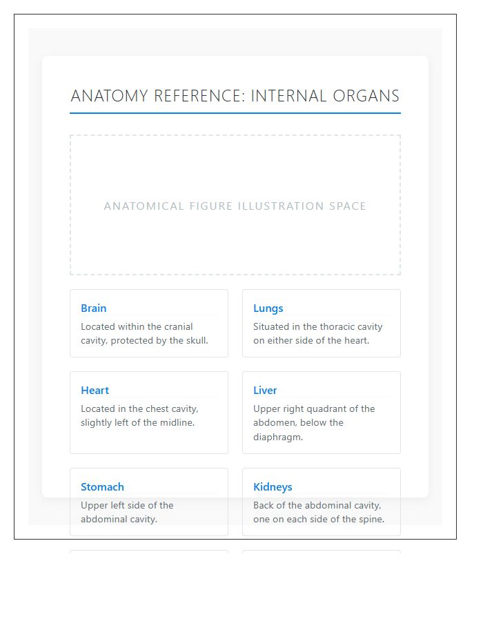 Human Internal Organs Locations Printable Chart