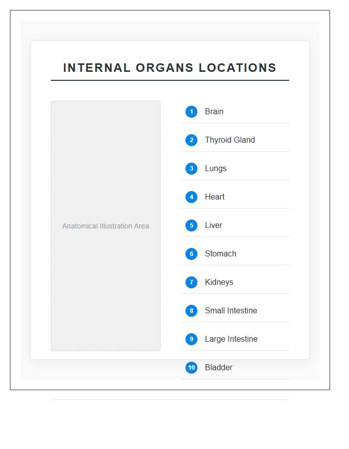 Labeled Internal Organs Locations Printable Chart