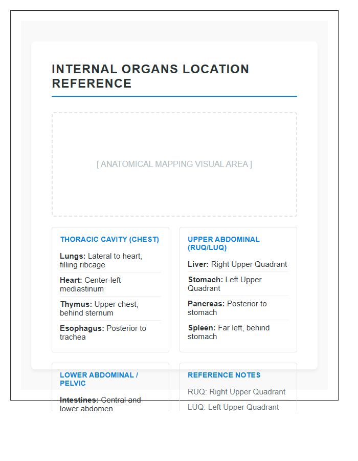 Reference Guide Internal Organs Locations Printable Chart