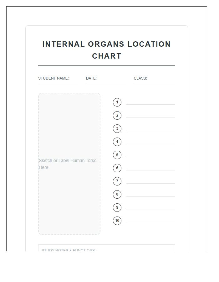 Student Study Internal Organs Locations Printable Chart