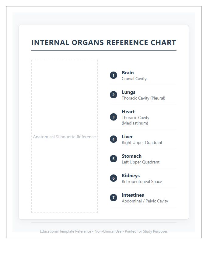 Visual Aid Internal Organs Locations Printable Chart