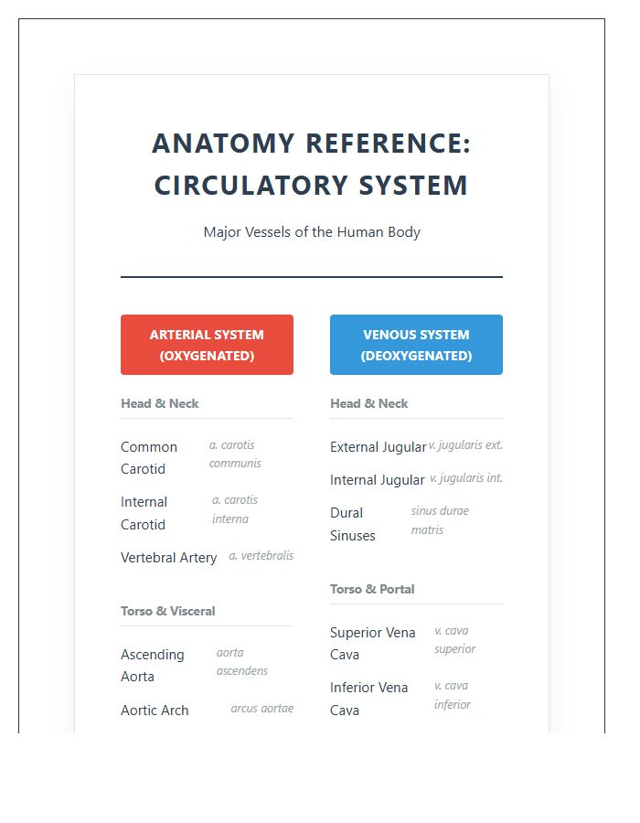 Detailed Human Arteries And Veins Printable Chart