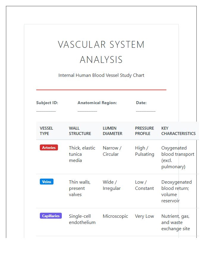 Internal Human Blood Vessel Study Printable Chart