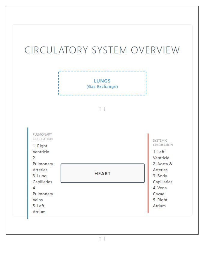 Systemic And Pulmonary Circulation Printable Chart