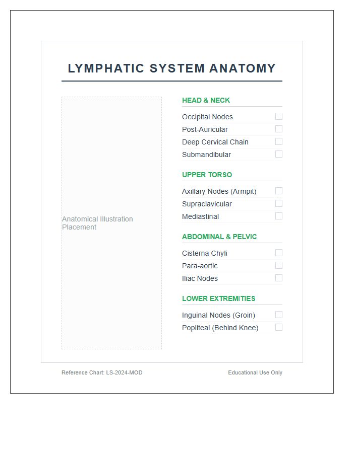 Anatomical Human Lymphatic System Nodes Printable Chart