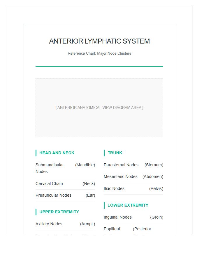 Anterior Human Lymphatic System Nodes Printable Chart