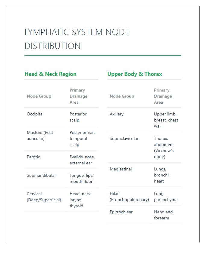 Comprehensive Human Lymphatic System Nodes Printable Chart