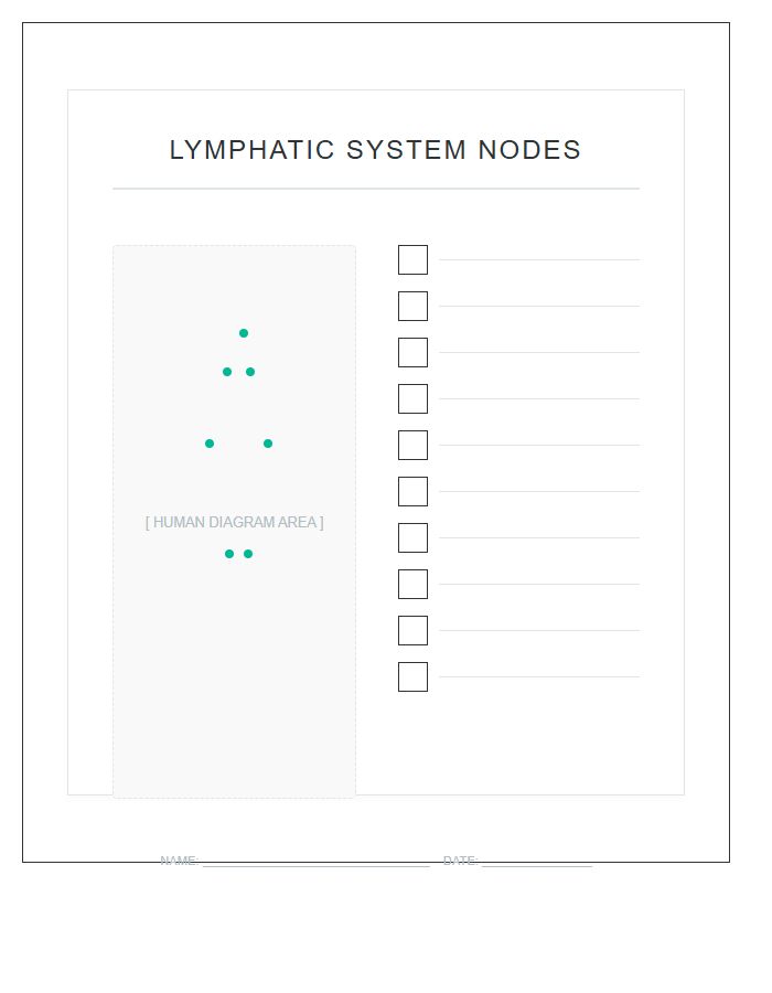 Unlabeled Human Lymphatic System Nodes Printable Chart
