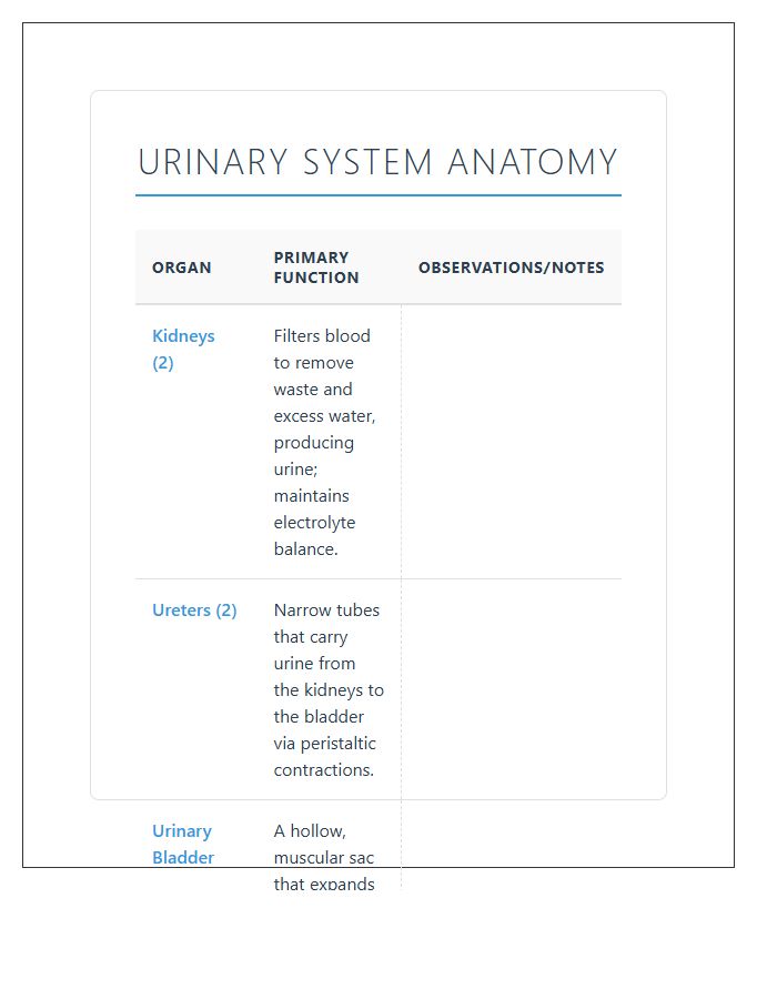 Urinary System Organs Printable Chart