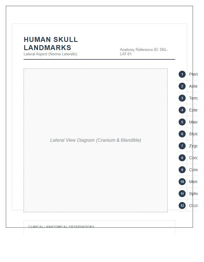 Human Skull Landmarks Lateral View Printable Chart