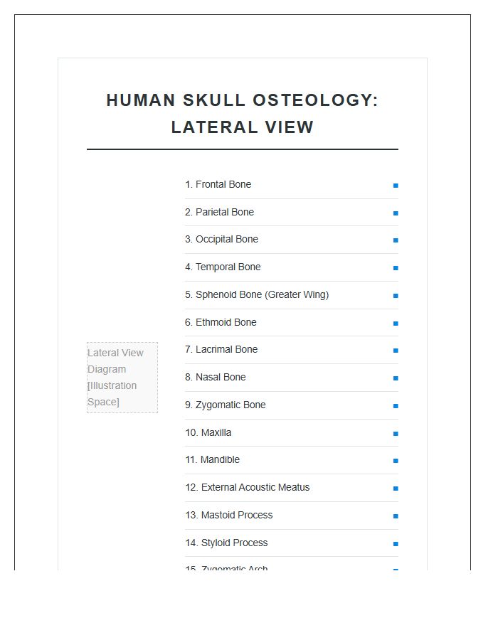 Human Skull Osteology Lateral View Printable Chart
