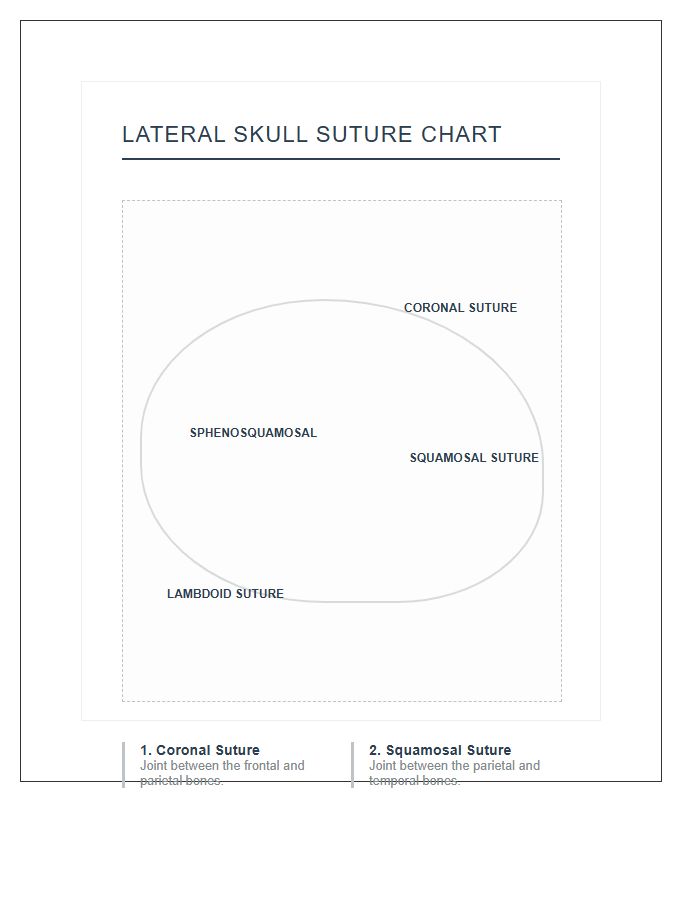 Human Skull Suture Lines Lateral View Printable Chart