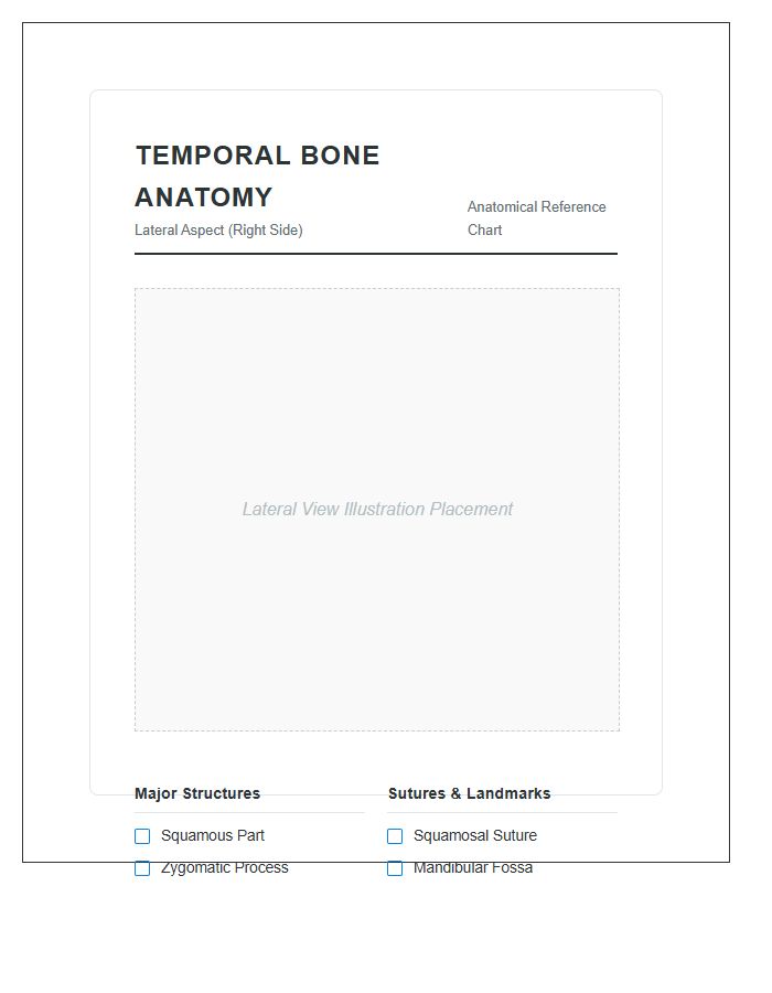Temporal Bone Anatomy Lateral View Printable Chart