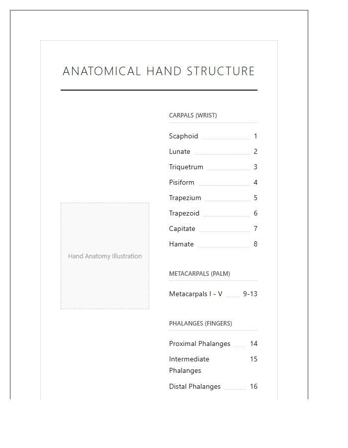Anatomical Hand Bone Structure Printable Chart