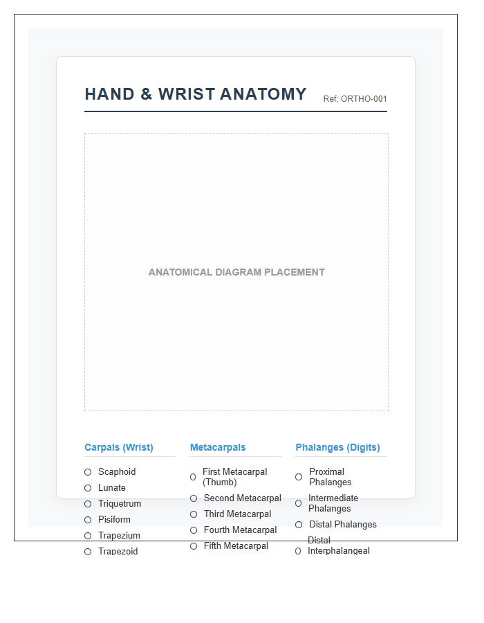 Orthopedic Hand Bone Anatomy Printable Chart