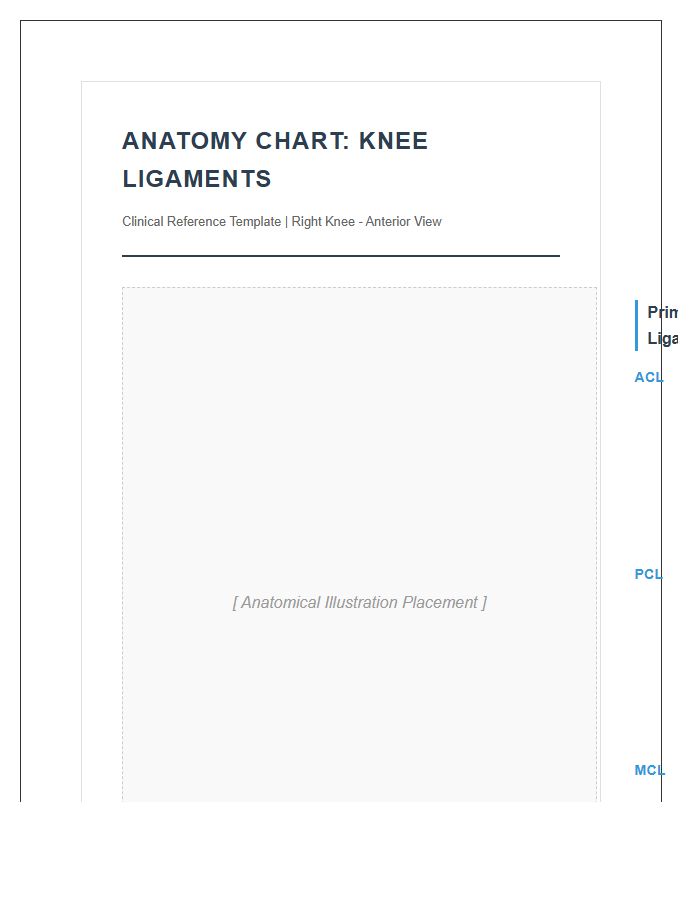 Clinical Human Knee Ligament Anatomy Printable Chart