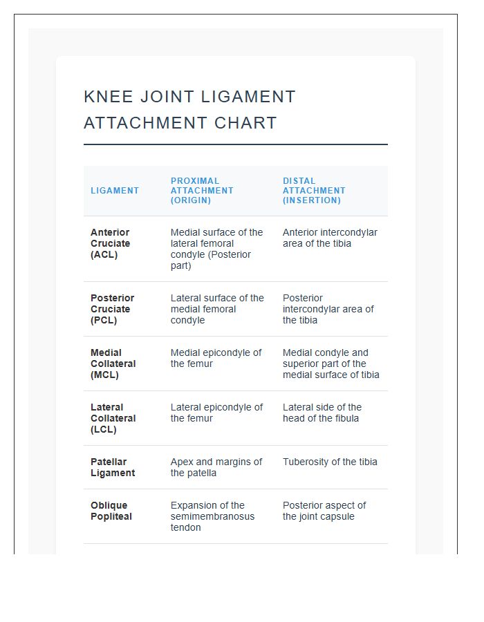 Knee Joint Ligament Attachment Printable Chart