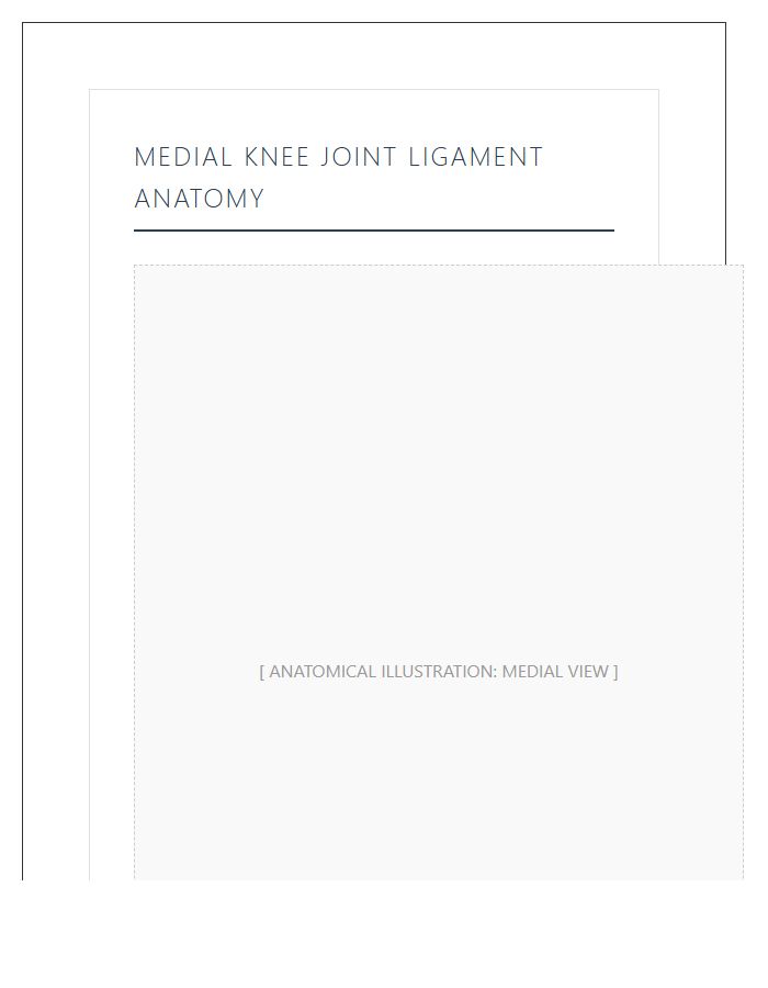 Medial Knee Joint Ligament Anatomy Printable Chart