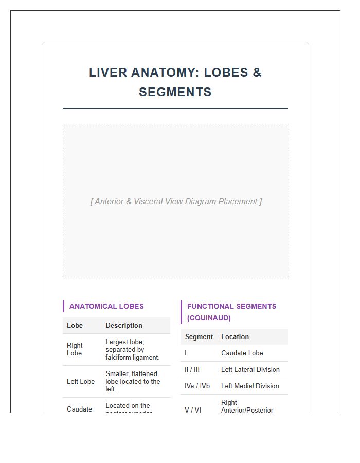 Comprehensive Human Liver Anatomy Lobes Printable Chart