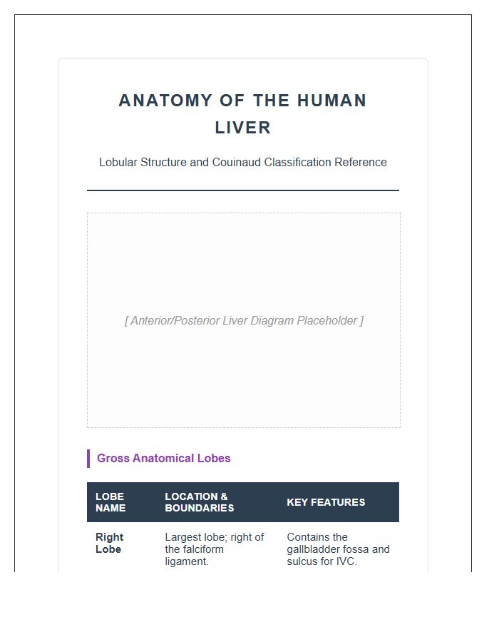 Detailed Human Liver Anatomy Lobes Printable Chart
