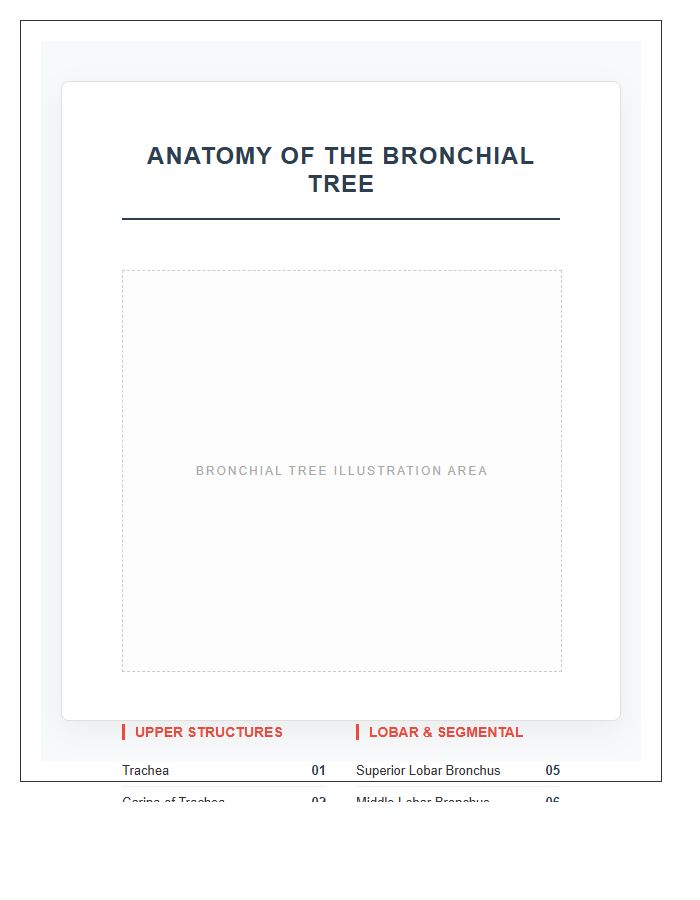 High Resolution Bronchial Tree Printable Chart