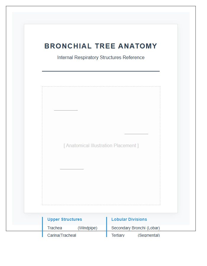 Internal Lung Anatomy Bronchial Tree Printable Chart