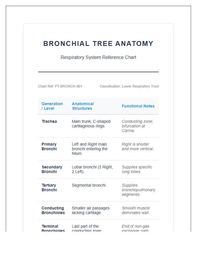 Pulmonary System Bronchial Tree Printable Chart