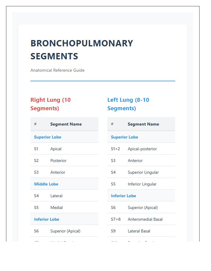 Specific Bronchopulmonary Segments Printable Chart