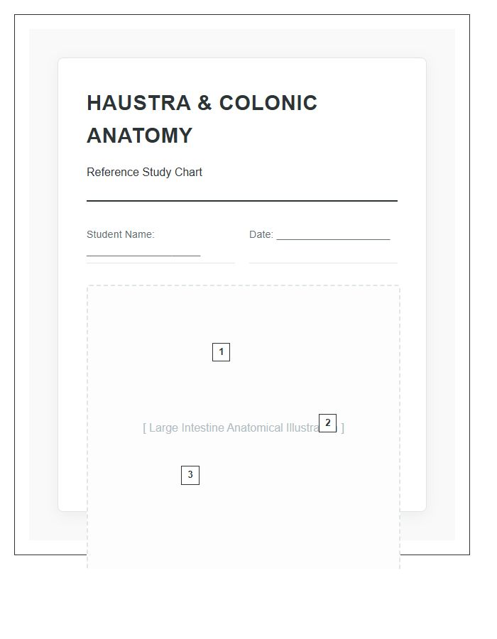 Haustra Of Large Intestine Anatomy Printable Chart