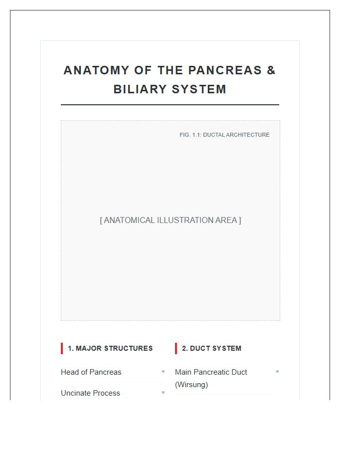 Pancreas Duct System And Anatomy Printable Chart