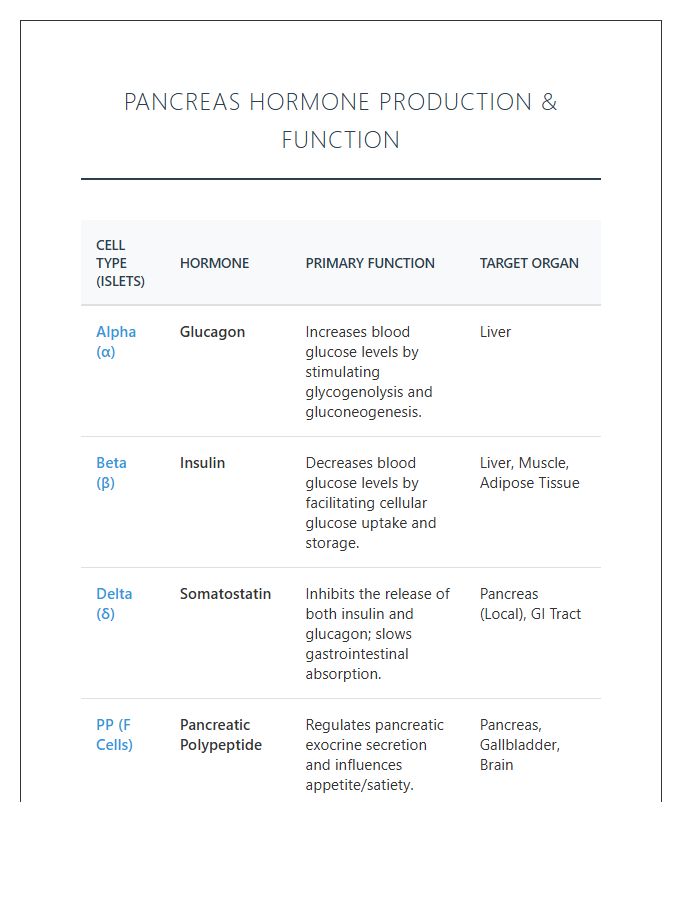 Pancreas Hormone Production And Function Printable Chart