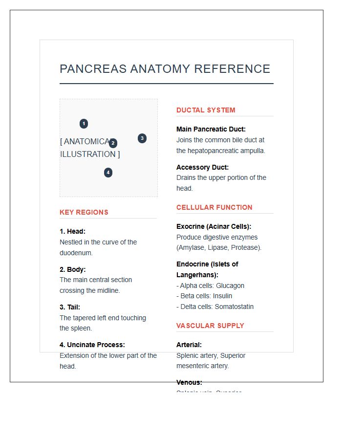 Pancreas Organ Anatomy Reference Printable Chart
