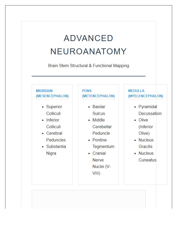 Advanced Neuroanatomy Brain Stem Printable Chart