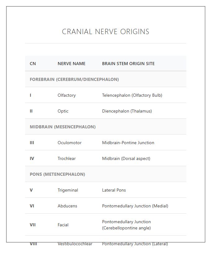 Cranial Nerve Origins On Brain Stem Printable Chart
