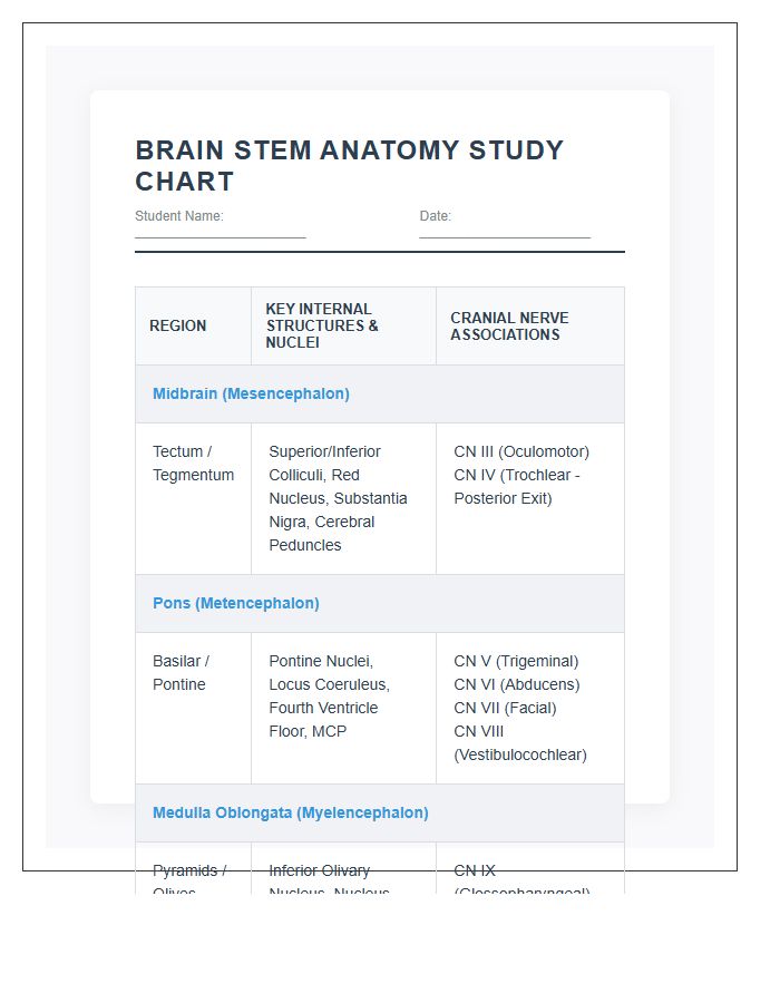 Medical Student Brain Stem Anatomy Study Printable Chart