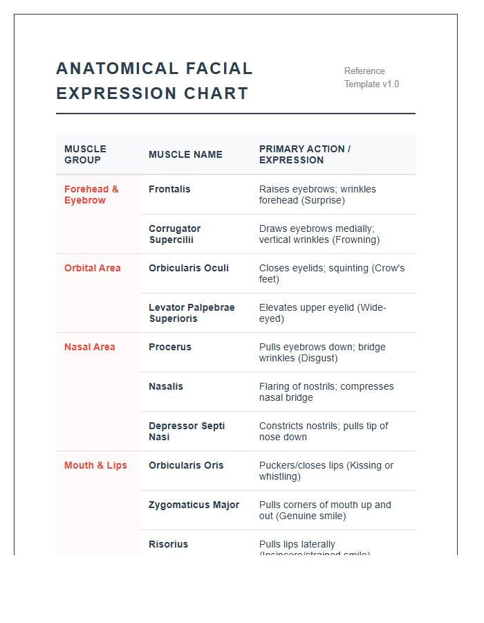 Anatomical Facial Expression Muscle Printable Chart