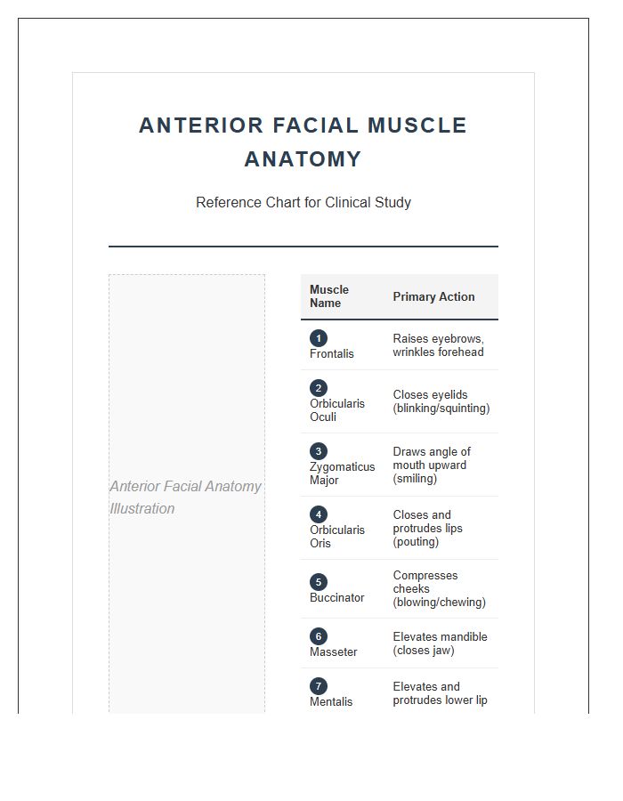 Anterior View Facial Muscle Anatomy Printable Chart